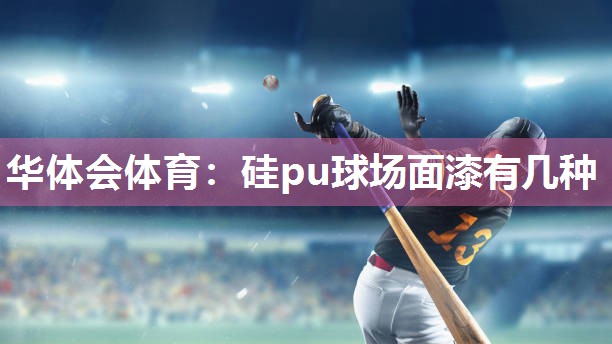 华体会体育：硅pu球场面漆有几种