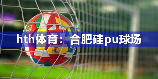 hth体育：合肥硅pu球场