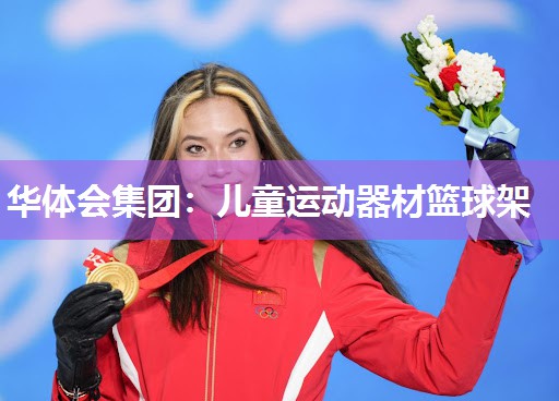 华体会集团：儿童运动器材篮球架