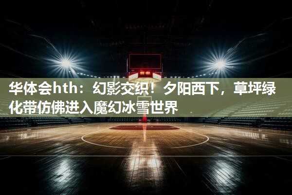 华体会hth：幻影交织！夕阳西下，草坪绿化带仿佛进入魔幻冰雪世界