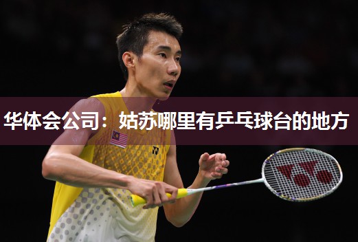 华体会公司：姑苏哪里有乒乓球台的地方