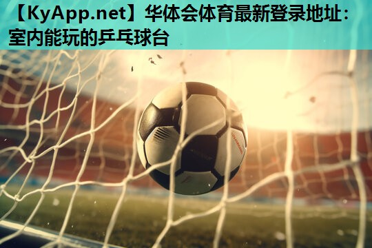 华体会体育最新登录地址：室内能玩的乒乓球台