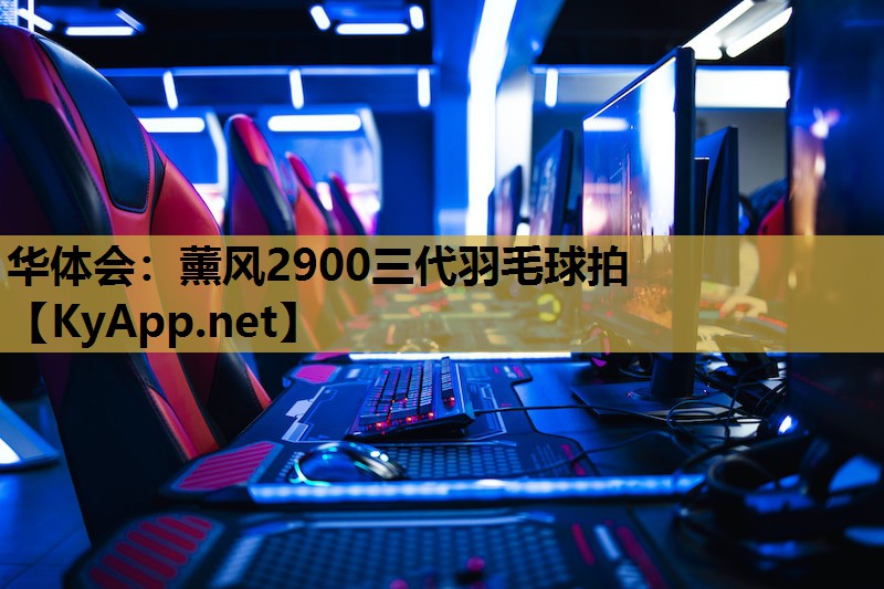 华体会：薰风2900三代羽毛球拍