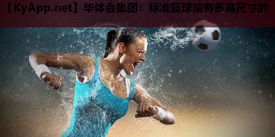华体会集团：标准篮球架有多高尺寸的