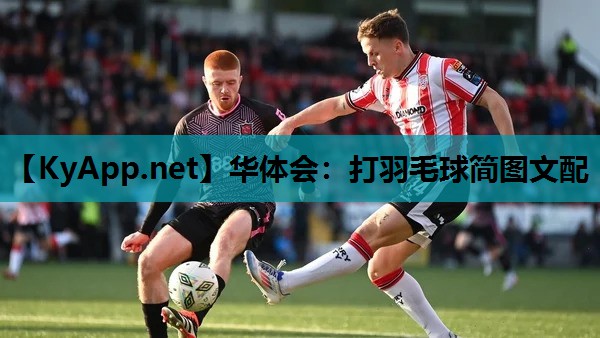 华体会：打羽毛球简图文配