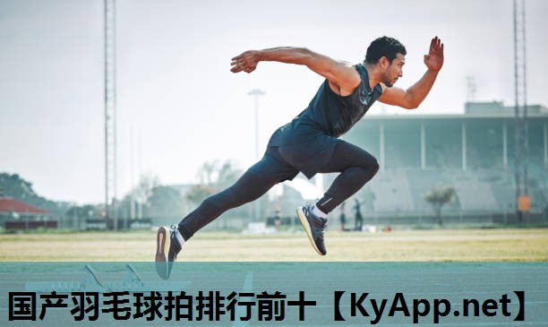 国产羽毛球拍排行前十