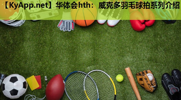 华体会hth：威克多羽毛球拍系列介绍