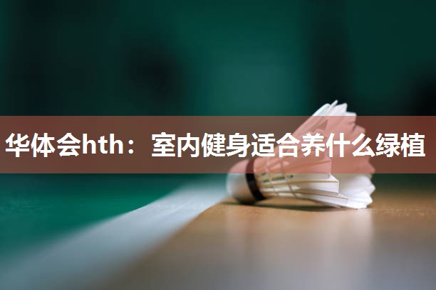 室内健身适合养什么绿植