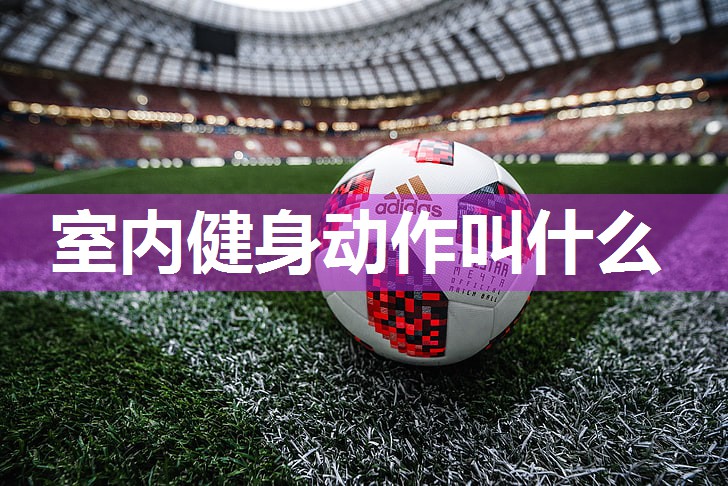 室内健身动作叫什么