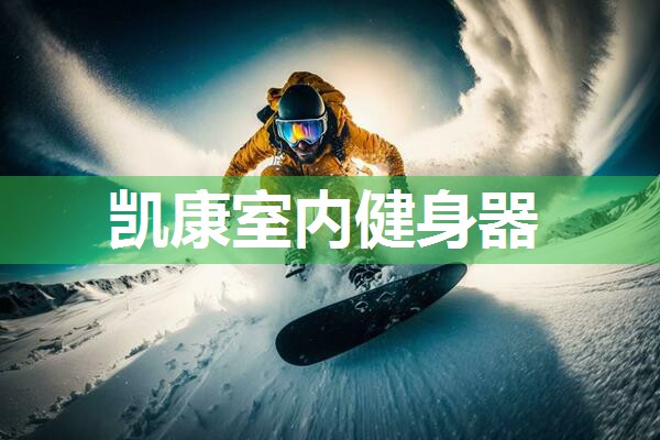 凯康室内健身器