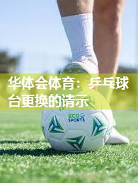 乒乓球台更换的请示