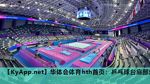 乒乓球台底部灯 乒乓球台底部灯