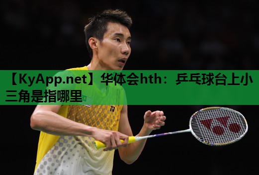 乒乓球台上小三角是指哪里 乒乓球台上小三角是指哪里