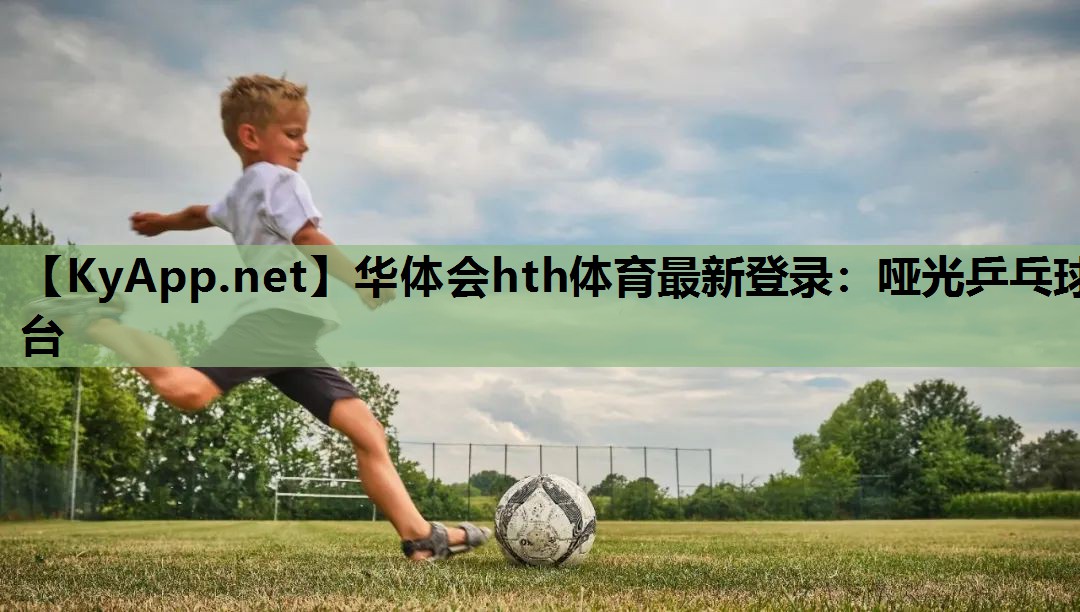 哑光乒乓球台 哑光乒乓球台