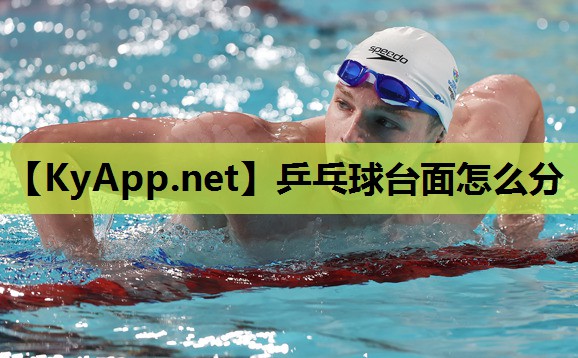 乒乓球台面怎么分 乒乓球台面怎么分
