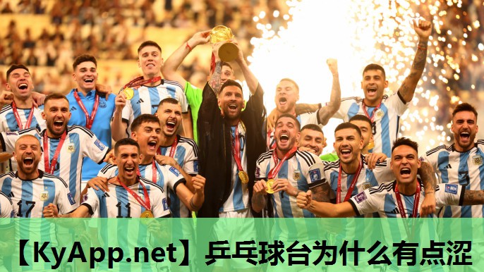 乒乓球台为什么有点涩 乒乓球台为什么有点涩