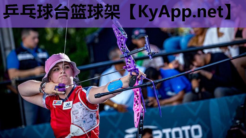 乒乓球台篮球架 乒乓球台篮球架