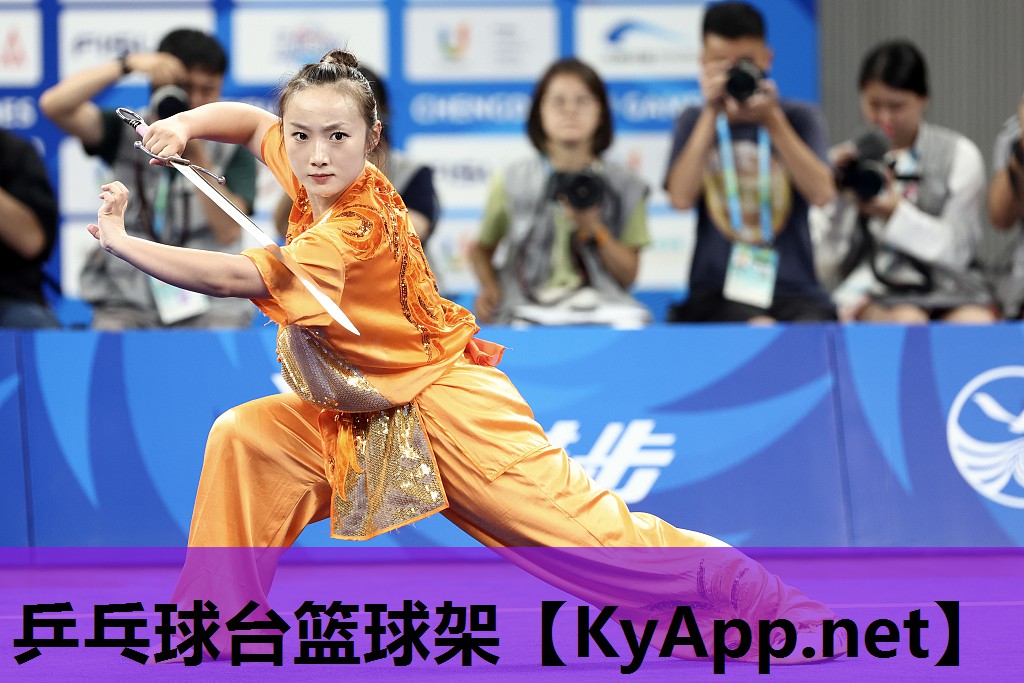 乒乓球台篮球架 乒乓球台篮球架
