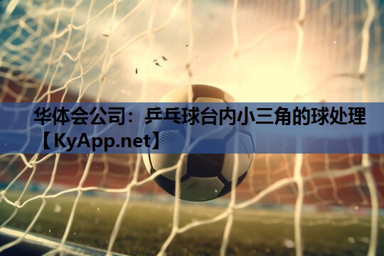 乒乓球台内小三角的球处理 乒乓球台内小三角的球处理