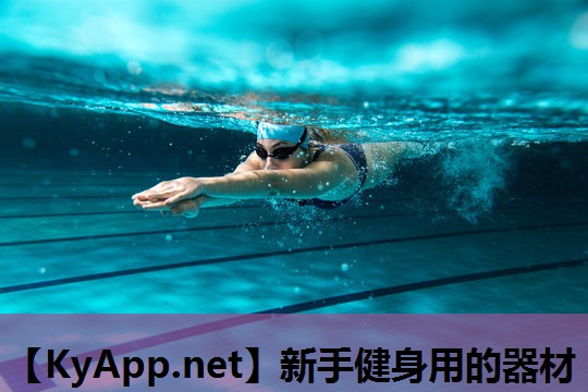 新手健身用的器材 新手健身用的器材