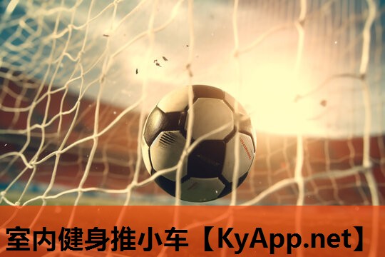 室内健身推小车 室内健身推小车