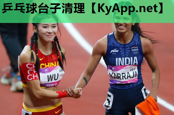 乒乓球台子清理 乒乓球台子清理