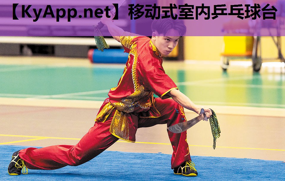 移动式室内乒乓球台 移动式室内乒乓球台