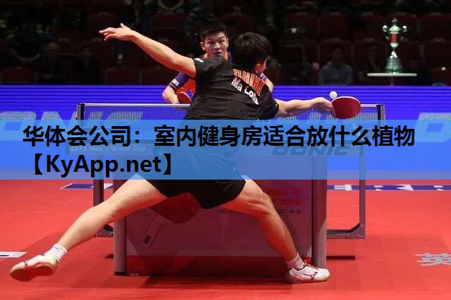 室内健身房适合放什么植物 室内健身房适合放什么植物