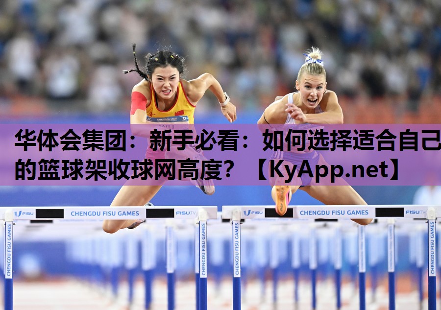 新手必看:如何选择适合自己的篮球架收球网高度? 新手必看:如何选择适合自己的篮球架收球网高度?