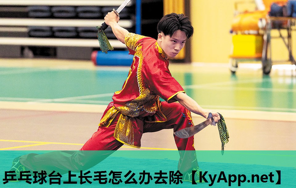 乒乓球台上长毛怎么办去除 乒乓球台上长毛怎么办去除