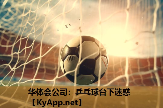乒乓球台下迷惑 乒乓球台下迷惑