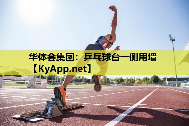 乒乓球台一侧用墙 乒乓球台一侧用墙
