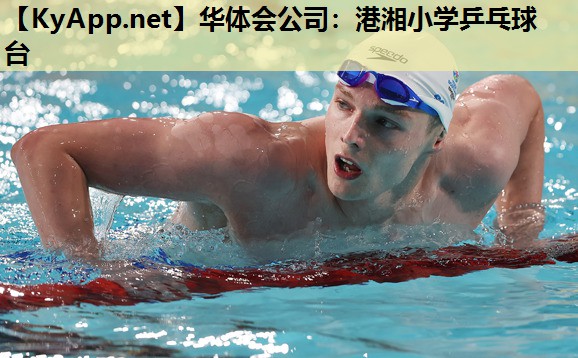 港湘小学乒乓球台 港湘小学乒乓球台