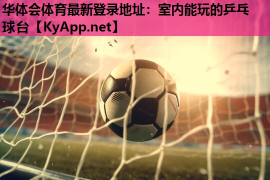 室内能玩的乒乓球台 室内能玩的乒乓球台