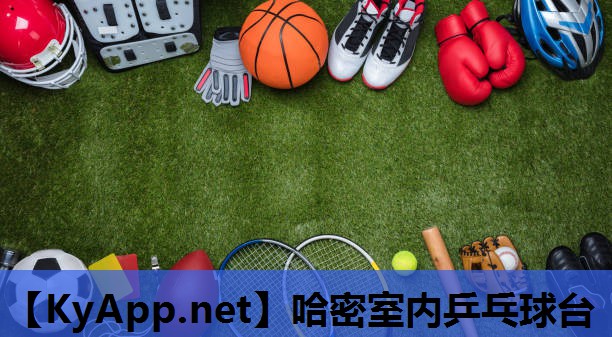 哈密室内乒乓球台 哈密室内乒乓球台