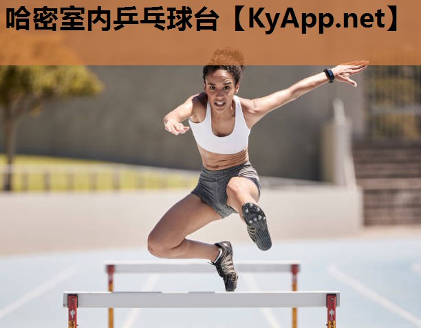 哈密室内乒乓球台 哈密室内乒乓球台