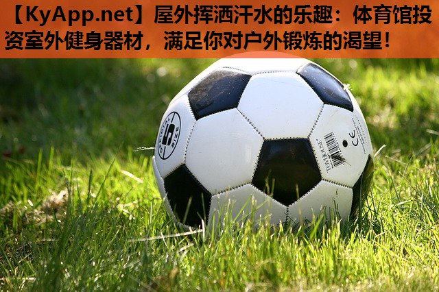 屋外挥洒汗水的乐趣:体育馆投资室外健身器材,满足你对户外锻炼的渴望! 屋外挥洒汗水的乐趣:体育馆投资室外健身器材,满足你对户外锻炼的渴望!