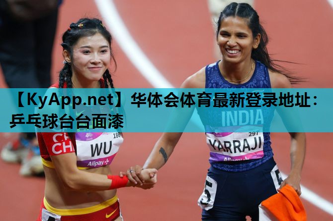 乒乓球台台面漆 乒乓球台台面漆