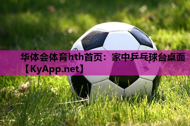 家中乒乓球台桌面 家中乒乓球台桌面
