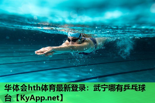 武宁哪有乒乓球台 武宁哪有乒乓球台