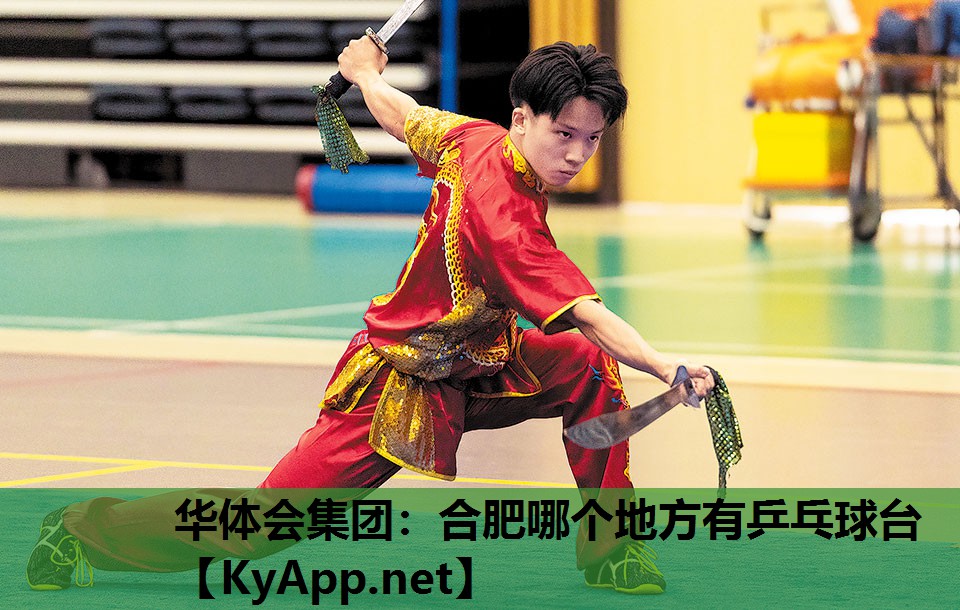合肥哪个地方有乒乓球台 合肥哪个地方有乒乓球台