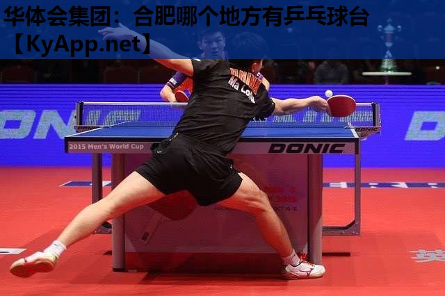 合肥哪个地方有乒乓球台 合肥哪个地方有乒乓球台