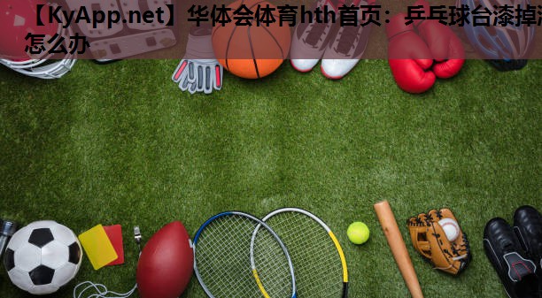 乒乓球台漆掉漆怎么办 乒乓球台漆掉漆怎么办
