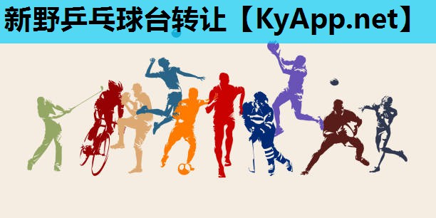 新野乒乓球台转让 新野乒乓球台转让