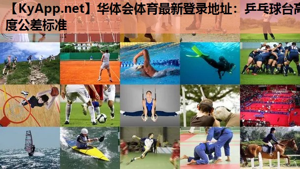 乒乓球台高度公差标准 乒乓球台高度公差标准