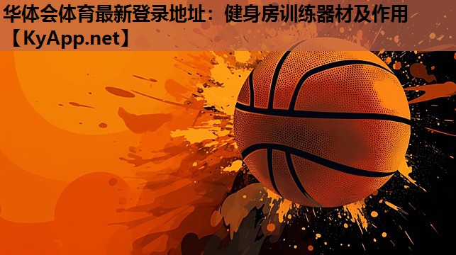 健身房训练器材及作用 健身房训练器材及作用