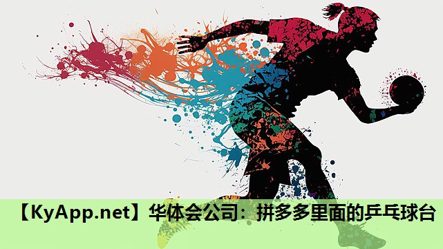 拼多多里面的乒乓球台 拼多多里面的乒乓球台