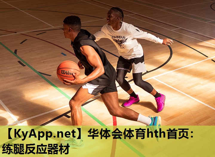 练腿反应器材 练腿反应器材