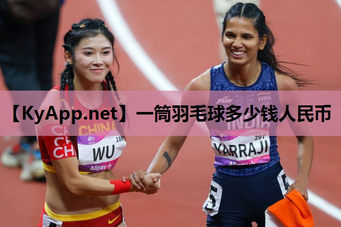 一筒羽毛球多少钱人民币 一筒羽毛球多少钱人民币