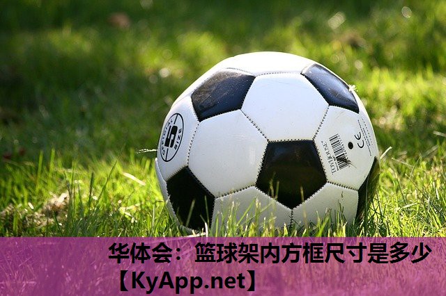 篮球架内方框尺寸是多少 篮球架内方框尺寸是多少